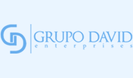 Grupo David